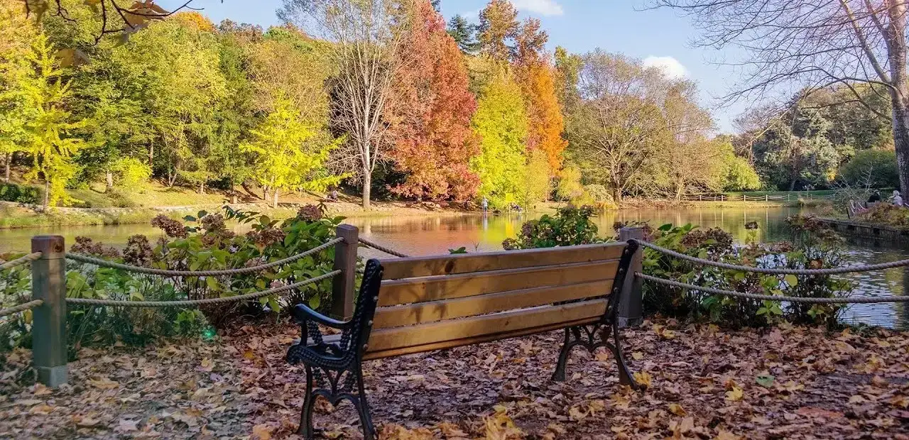 Atatürk Arboretumu