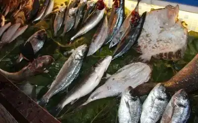 Balıkçı Cumali Balık Restoran