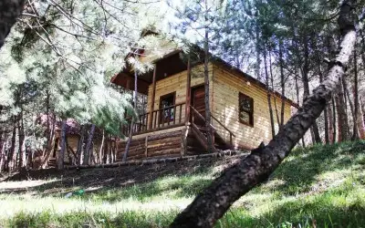 Çam Pınarı Doğa Evleri