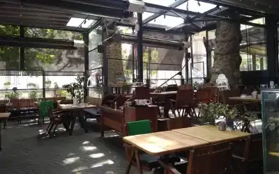 Emirgan Tarihi Çınaraltı