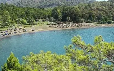 Günlüklü Koyu