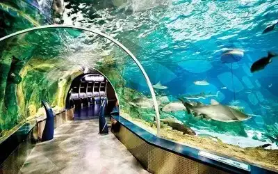 İstanbul Akvaryum
