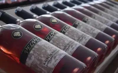 Kocabağ Şarapçılık