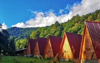 Kotit Ayder Bungalov