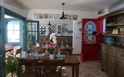 Müdavim Bodrum