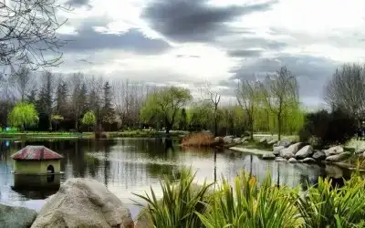 Soğanlı Botanik Parkı