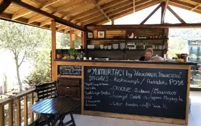 Yumurtacı by Halikarnas Tavukçusu