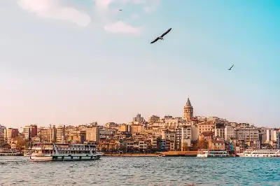 Haliç 3
