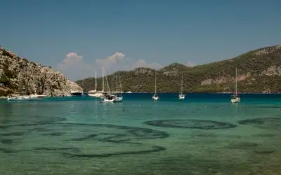 Akkum Koyu (Sığ Liman)