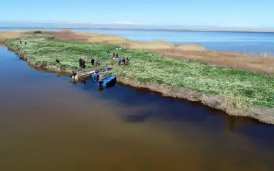 Akyatan Milli Parkı