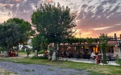 Alaçatı Zeytin Tarla