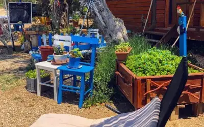 Ali Baba Relax Camping