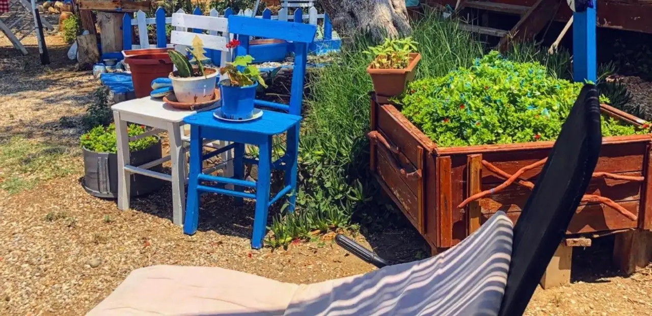 Ali Baba Relax Camping