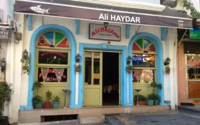 Ali Haydar İkinci Bahar