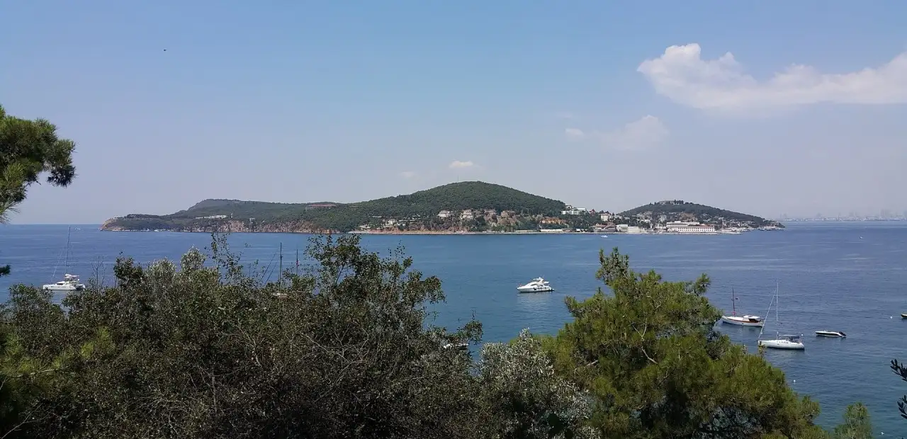 Alman Koyu