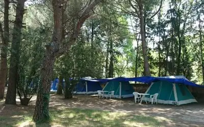 Altın Camp & Park Hotel