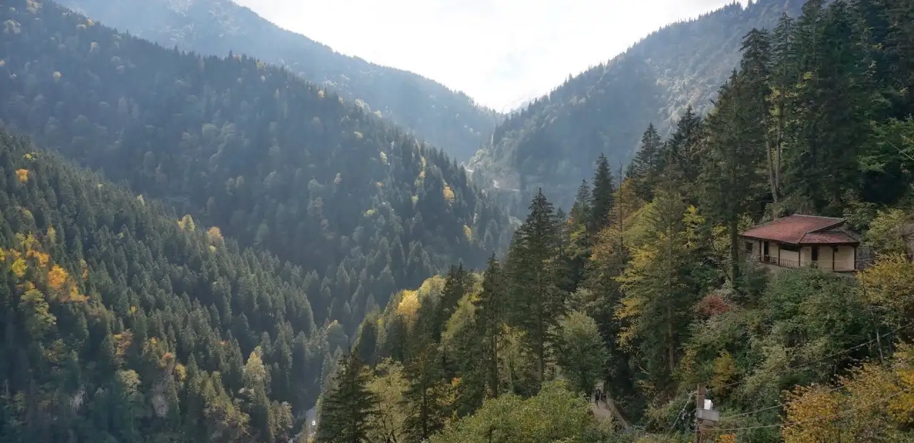 Altındere Vadisi Milli Parkı