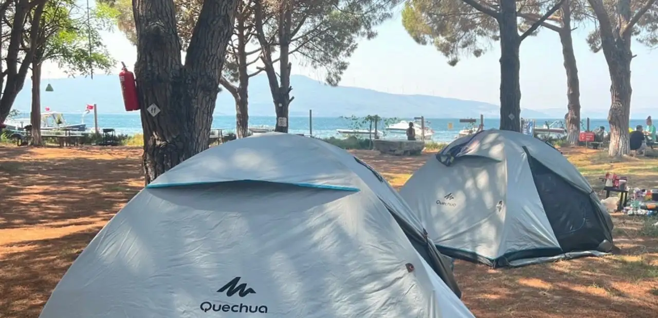 Ant Camping