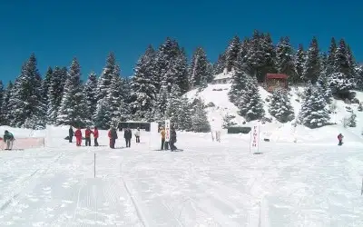Arkut Dağı Kayak Merkezi