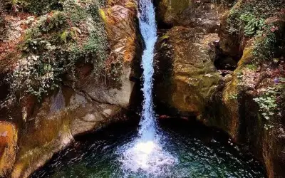 Ayazma Pınarı Tabiat Parkı