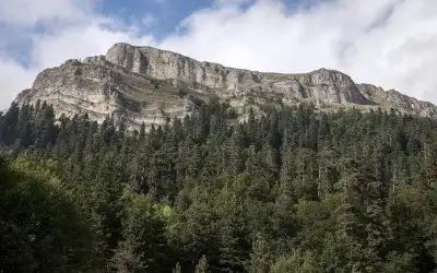 Ayıkayası Tabiat Parkı