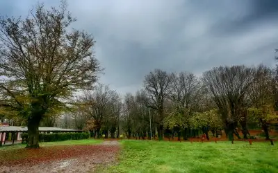 Balamba Tabiat Parkı