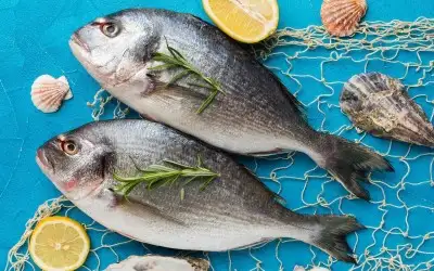 Tarihi Kafkas Balıkçısı