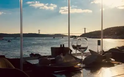 Barboon by Atlas Balık