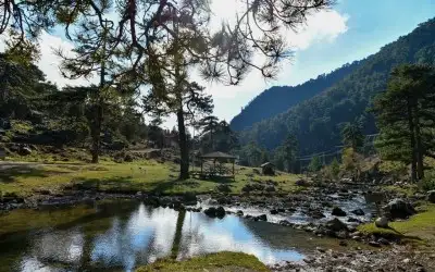 Başpınar Tabiat Parkı