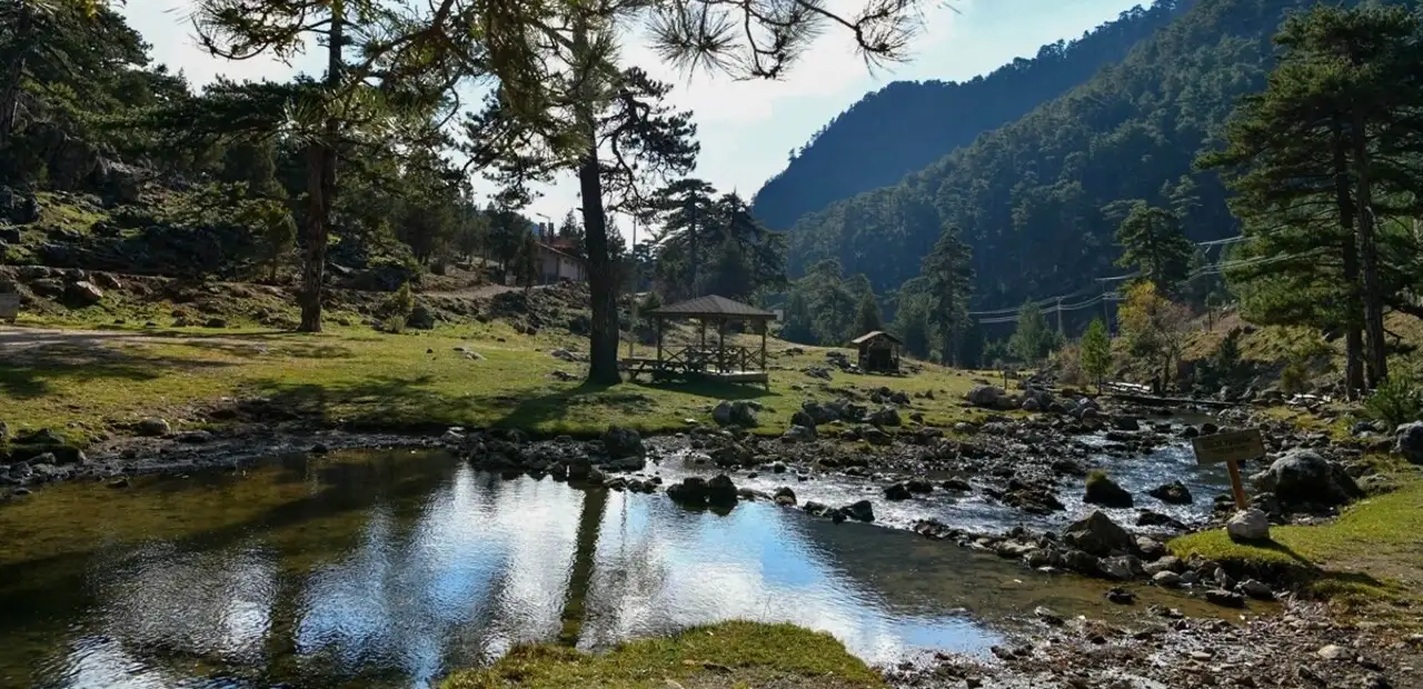 Başpınar Tabiat Parkı