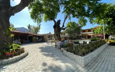 Bayır Köyü