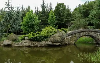 Bayraktepe Tabiat Parkı