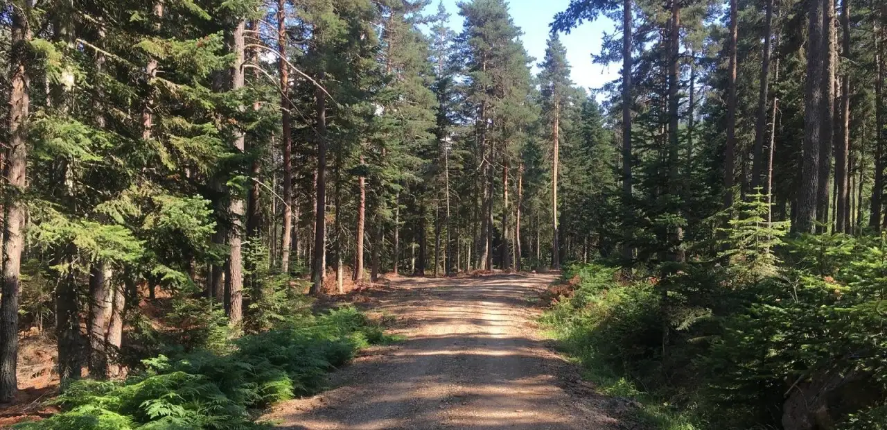 Beşpınarlar Tabiat Parkı