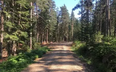 Beşpınarlar Tabiat Parkı