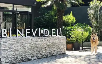 Bi Nevi Deli