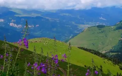 Bilbilan (Bülbülan )Yaylası