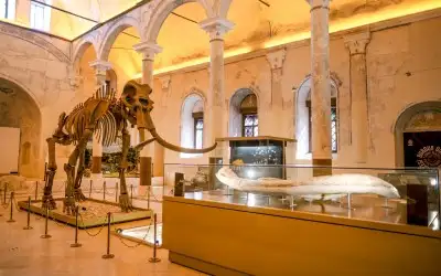 Burdur Doğa Tarihi Müzesi