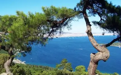 Büyükada Tabiat Parkı