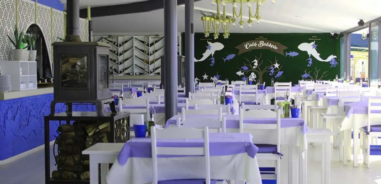 Çalış Balıkçısı