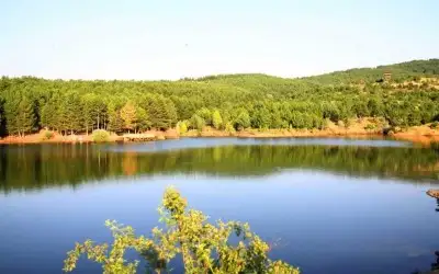 Yozgat Çamlık Milli Parkı