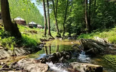 Candaş Kamp