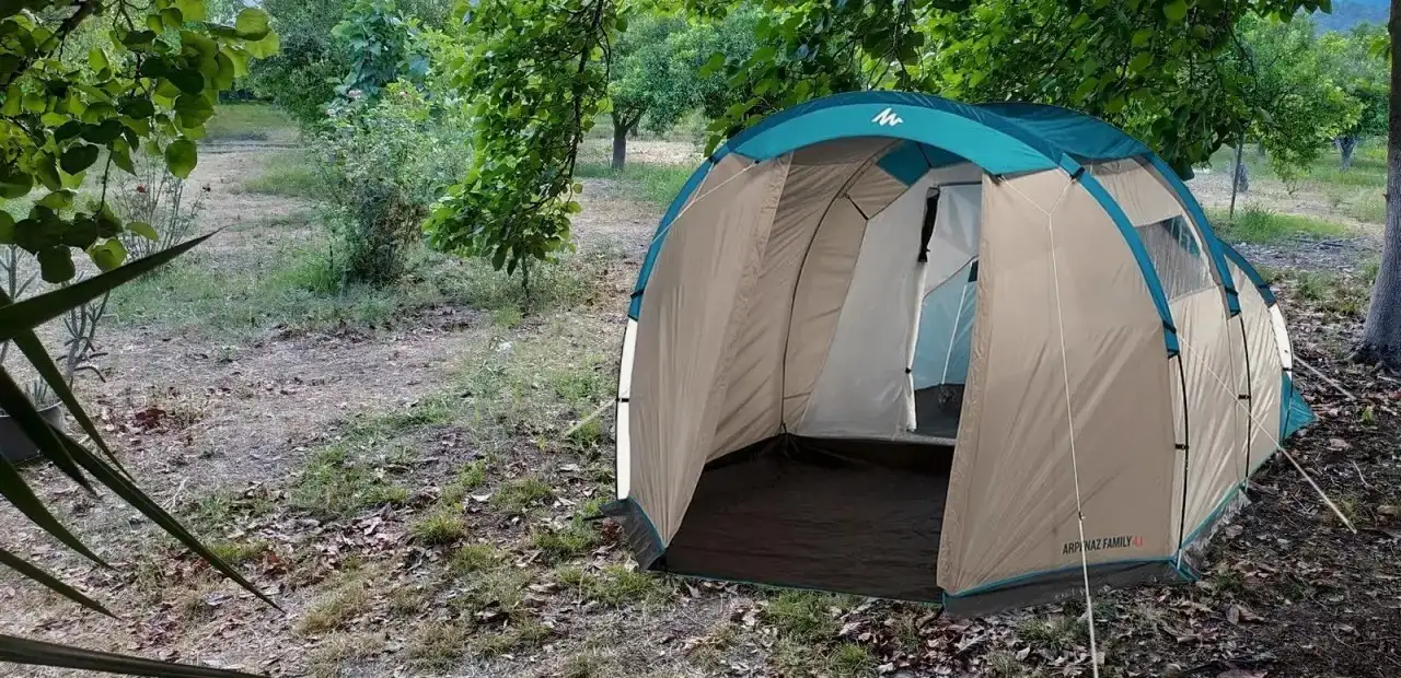 Çekirdeksiz Mandalin Camping