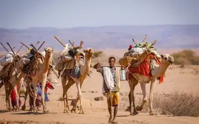 Güney ve Doğu Afrika Ülkeleri: 20 Güney ve Doğu Afrika Ülkesi