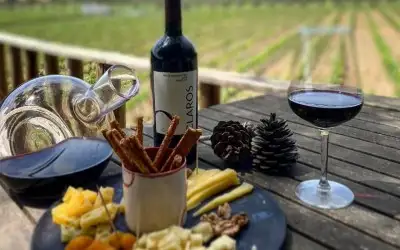 Claros Bağcılık ve Şarapçılık