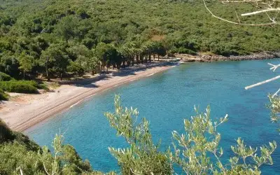Çubucak Orman Kampı (Çubucak Camping)