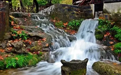 Dağılcak Mesire Alanı