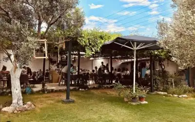 Dedemin Çiftliği Alaçatı 1923