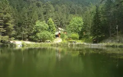 Dipsizgöl Tabiat Parkı