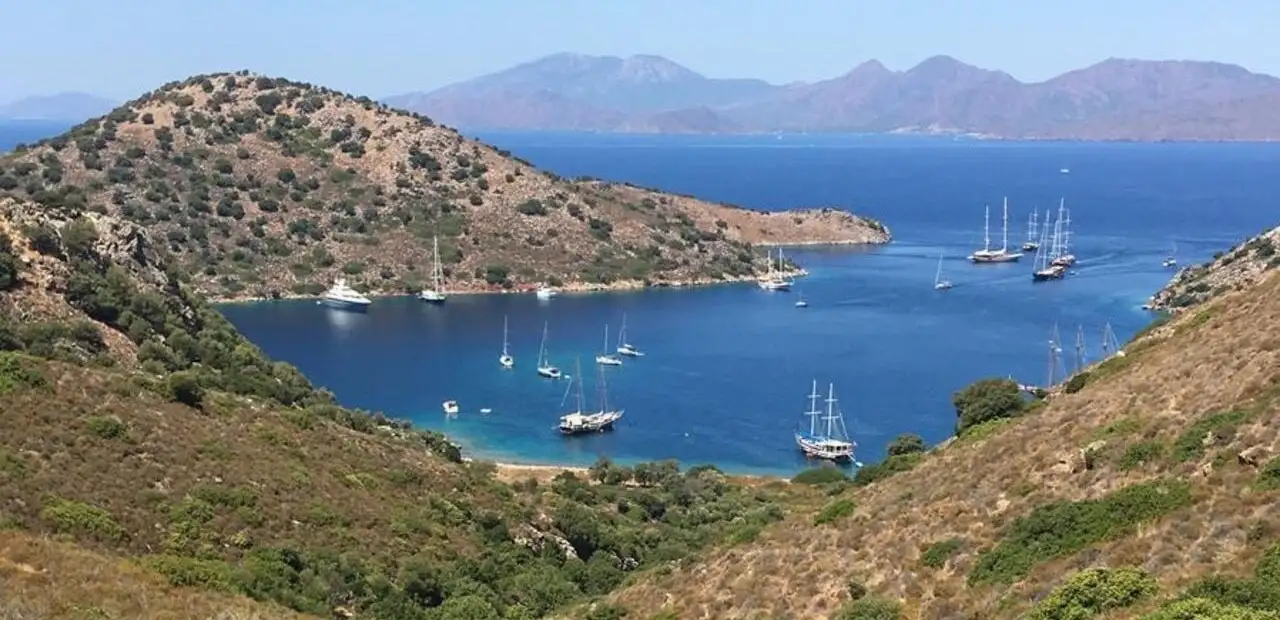 Dirsekbükü (Ağıl Koyu)