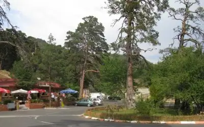 Esentepe Mesire Alanı